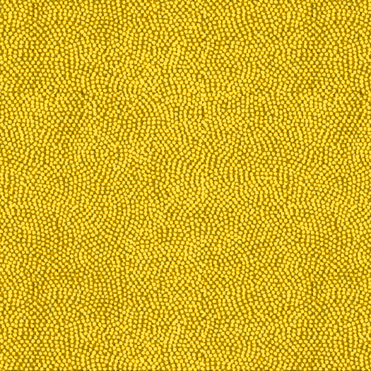 Bright Yellow/Chartruese